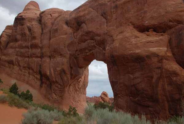 Pine Tree Arch